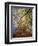 Skyward View of Autumn Colors, Kentucky, USA-Adam Jones-Framed Photographic Print