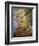 Skyward View of Autumn Colors, Kentucky, USA-Adam Jones-Framed Photographic Print