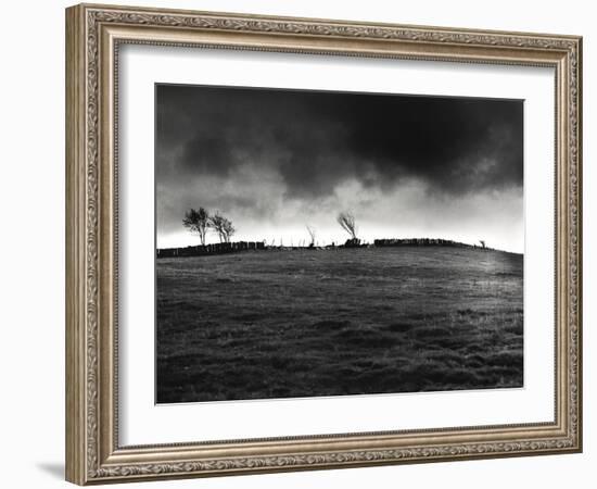 Slate Fence, Trawsfynydd Drovers Roads, Wales-Fay Godwin-Framed Giclee Print