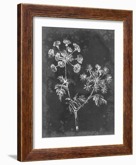 Slate Floral I-Ethan Harper-Framed Art Print