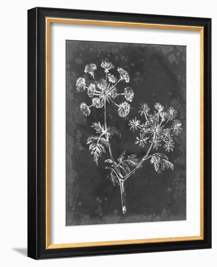 Slate Floral I-Ethan Harper-Framed Art Print