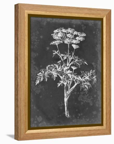 Slate Floral II-Ethan Harper-Framed Stretched Canvas