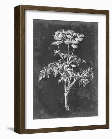 Slate Floral II-Ethan Harper-Framed Art Print