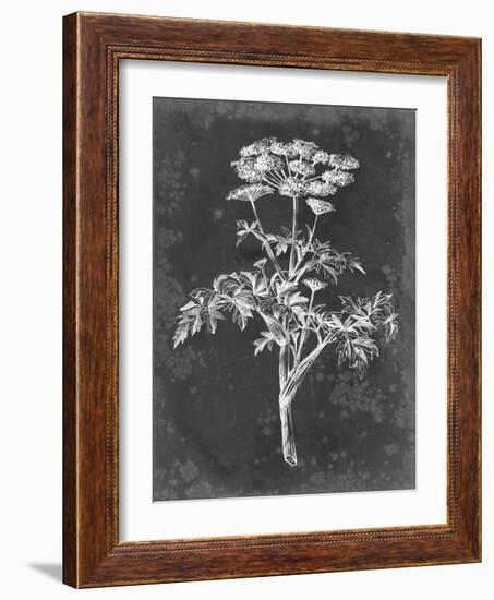 Slate Floral II-Ethan Harper-Framed Art Print