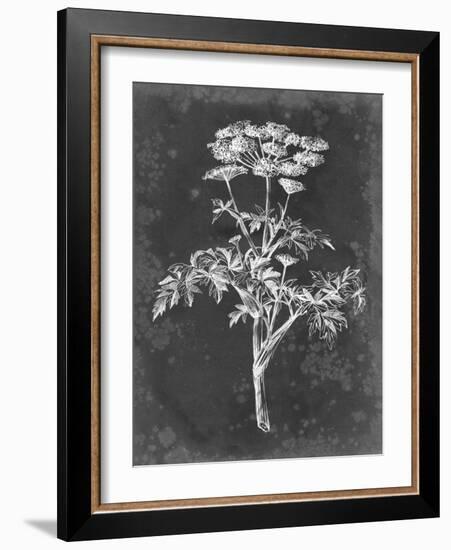 Slate Floral II-Ethan Harper-Framed Art Print