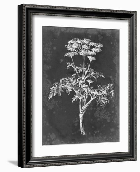 Slate Floral II-Ethan Harper-Framed Art Print