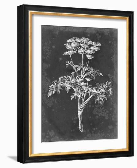 Slate Floral II-Ethan Harper-Framed Art Print