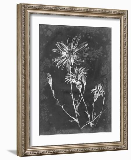 Slate Floral III-Ethan Harper-Framed Art Print