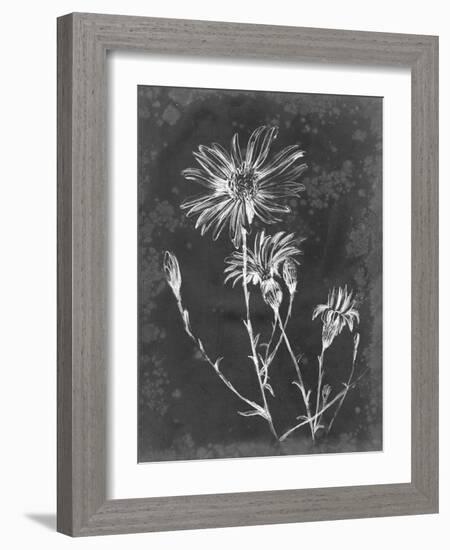 Slate Floral III-Ethan Harper-Framed Art Print