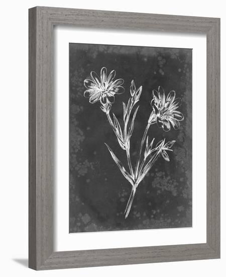 Slate Floral IV-Ethan Harper-Framed Art Print