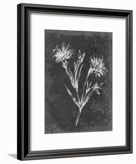 Slate Floral IV-Ethan Harper-Framed Art Print