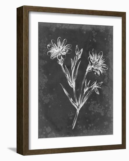 Slate Floral IV-Ethan Harper-Framed Art Print