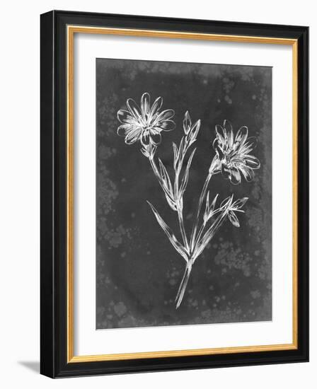 Slate Floral IV-Ethan Harper-Framed Art Print