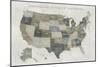 Slate US Map-Sue Schlabach-Mounted Art Print