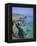 Slea Head, Dingle Peninsula, County Kerry, Munster, Republic of Ireland (Eire), Europe-Roy Rainford-Framed Premier Image Canvas