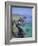 Slea Head, Dingle Peninsula, County Kerry, Munster, Republic of Ireland (Eire), Europe-Roy Rainford-Framed Photographic Print