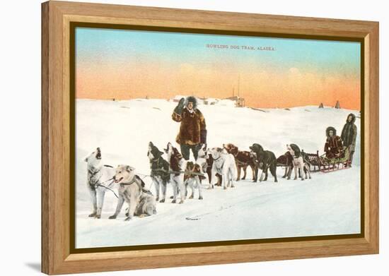 Sled Dog Team-null-Framed Stretched Canvas