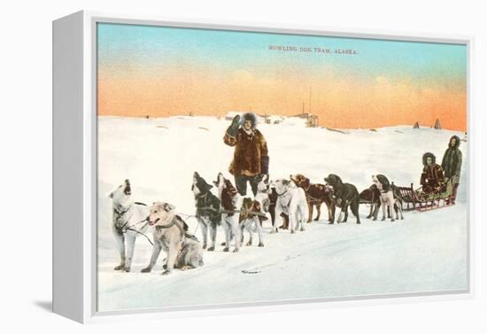 Sled Dog Team-null-Framed Stretched Canvas