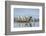 Sled Dogs, Nunavut, Canada-Paul Souders-Framed Photographic Print