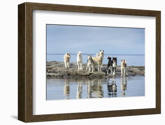 Sled Dogs, Nunavut, Canada-Paul Souders-Framed Photographic Print