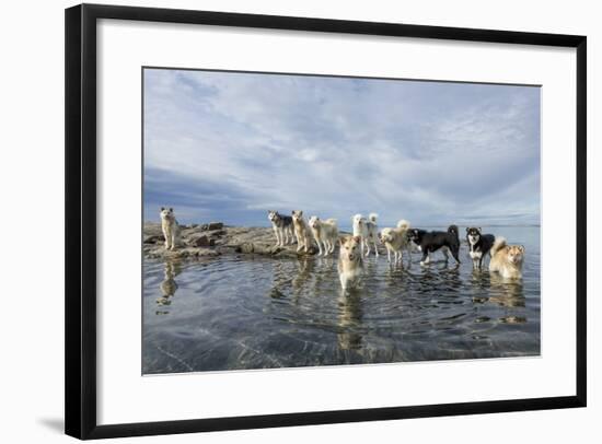 Sled Dogs, Nunavut, Canada-Paul Souders-Framed Photographic Print