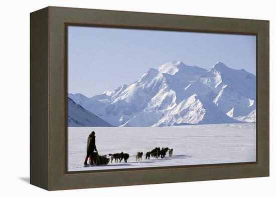 Sled Dogs, Park Ranger, Mount McKinley, Denali National Park, Alaska, USA-Gerry Reynolds-Framed Premier Image Canvas