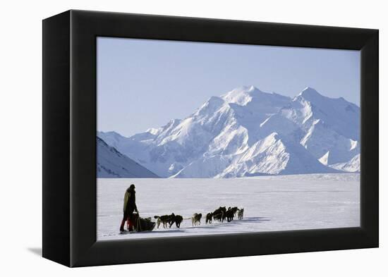 Sled Dogs, Park Ranger, Mount McKinley, Denali National Park, Alaska, USA-Gerry Reynolds-Framed Premier Image Canvas