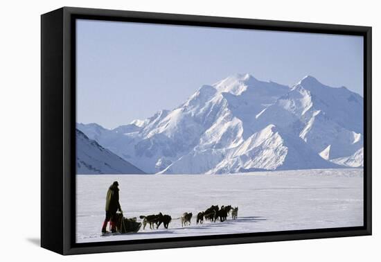 Sled Dogs, Park Ranger, Mount McKinley, Denali National Park, Alaska, USA-Gerry Reynolds-Framed Premier Image Canvas