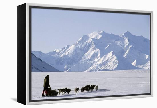 Sled Dogs, Park Ranger, Mount McKinley, Denali National Park, Alaska, USA-Gerry Reynolds-Framed Premier Image Canvas