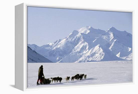 Sled Dogs, Park Ranger, Mount McKinley, Denali National Park, Alaska, USA-Gerry Reynolds-Framed Premier Image Canvas