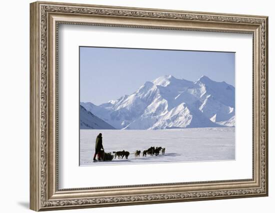 Sled Dogs, Park Ranger, Mount McKinley, Denali National Park, Alaska, USA-Gerry Reynolds-Framed Photographic Print