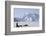 Sled Dogs, Park Ranger, Mount McKinley, Denali National Park, Alaska, USA-Gerry Reynolds-Framed Photographic Print