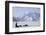 Sled Dogs, Park Ranger, Mount McKinley, Denali National Park, Alaska, USA-Gerry Reynolds-Framed Photographic Print