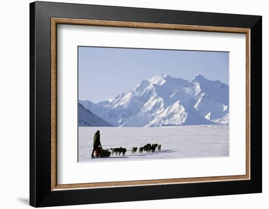 Sled Dogs, Park Ranger, Mount McKinley, Denali National Park, Alaska, USA-Gerry Reynolds-Framed Photographic Print