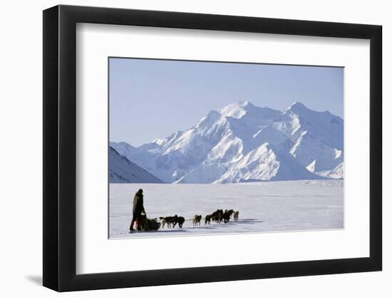 Sled Dogs, Park Ranger, Mount McKinley, Denali National Park, Alaska, USA-Gerry Reynolds-Framed Photographic Print