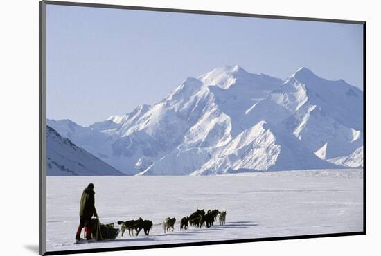 Sled Dogs, Park Ranger, Mount McKinley, Denali National Park, Alaska, USA-Gerry Reynolds-Mounted Photographic Print