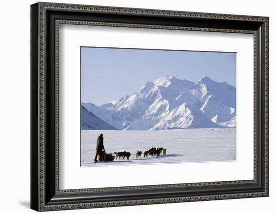 Sled Dogs, Park Ranger, Mount McKinley, Denali National Park, Alaska, USA-Gerry Reynolds-Framed Photographic Print