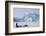 Sled Dogs, Park Ranger, Mount McKinley, Denali National Park, Alaska, USA-Gerry Reynolds-Framed Photographic Print