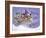 Sled Party-Margaret Wilson-Framed Giclee Print