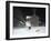 Sledding Party-Jerry Cable-Framed Giclee Print