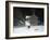 Sledding Party-Jerry Cable-Framed Giclee Print