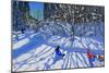 Sledging and Skiing Down the Trail, Morzine-Andrew Macara-Mounted Giclee Print