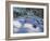 Sledging at Ladmanlow, 2012-Andrew Macara-Framed Giclee Print