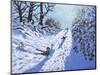 Sledging, Calke Abbey, Ticknall, Derby, 2021 (Oil on Canvas)-Andrew Macara-Mounted Giclee Print