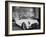 Sleek New Chevrolet Corvette Standing in Show Room-Eliot Elisofon-Framed Photographic Print