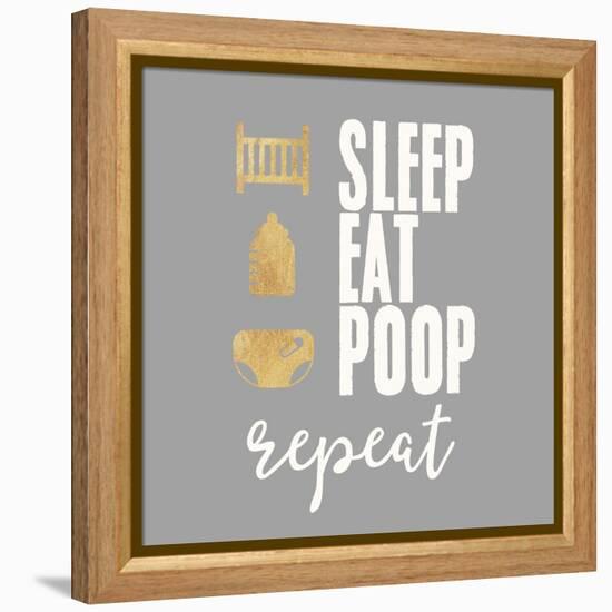 Sleep, Eat, Poop-Evangeline Taylor-Framed Stretched Canvas