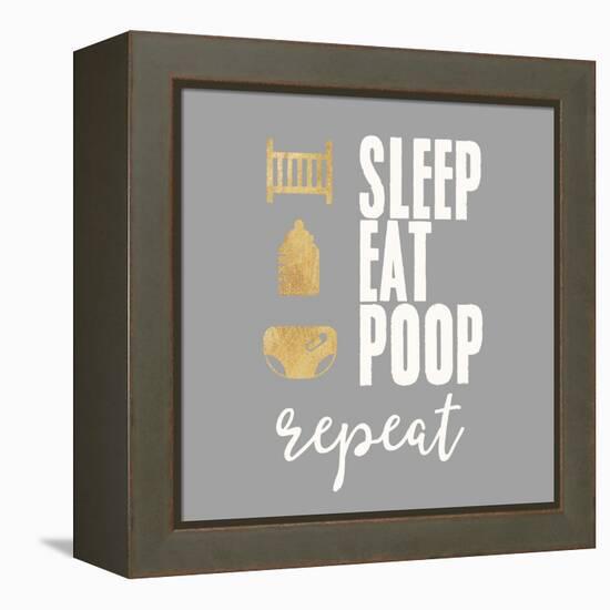 Sleep, Eat, Poop-Evangeline Taylor-Framed Stretched Canvas