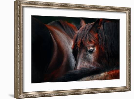 Sleep Huddle-Martin Stantchev-Framed Photographic Print