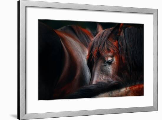 Sleep Huddle-Martin Stantchev-Framed Photographic Print