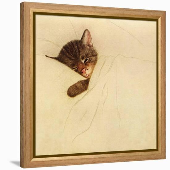Sleep Like a Kitten-Guido Gruenwald-Framed Premier Image Canvas